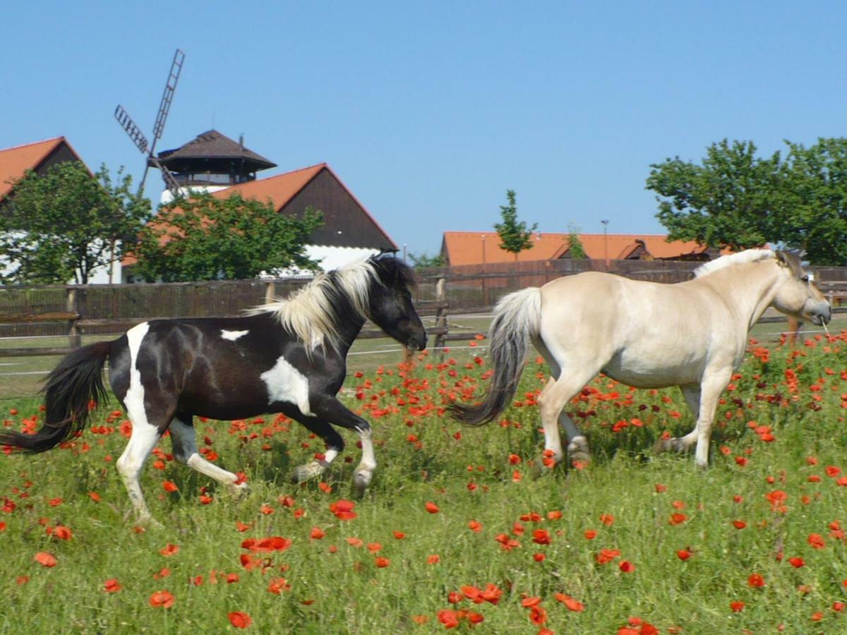 Bukovansky Mlyn Bukovany Bagian luar foto